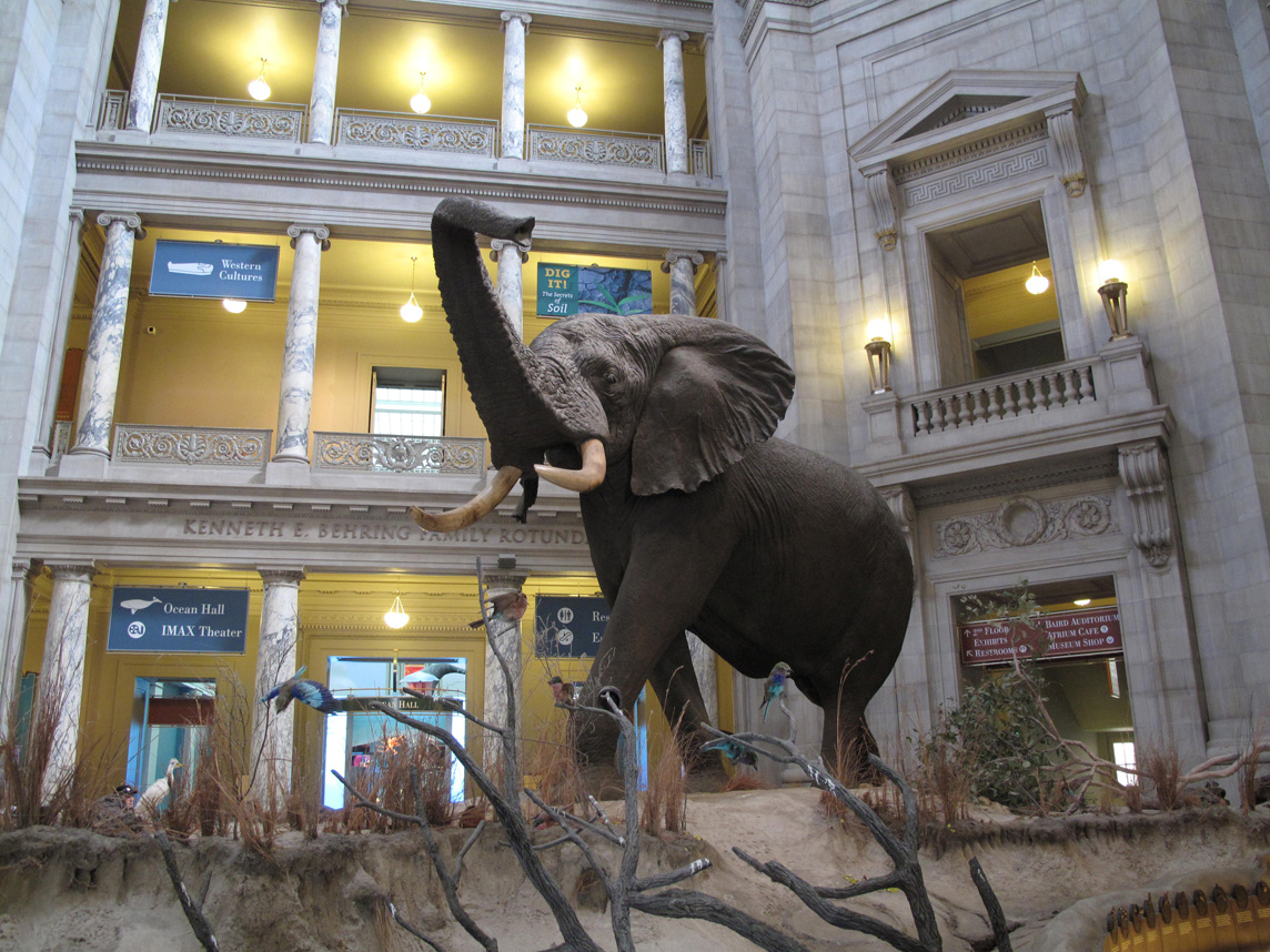 National Museum of Natural History 