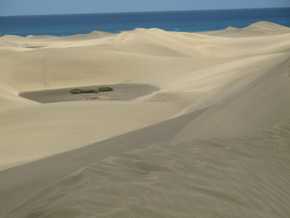 Sands of  Maspalomas Dunes